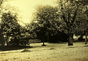 Park przy Łazienkach nr 2