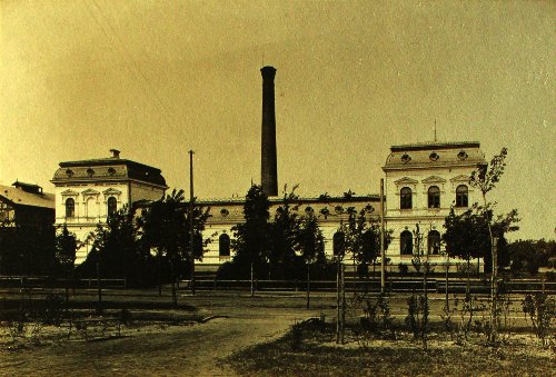 AN_BokLazienekNr3.jpg
